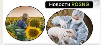 Обзор новостей за 4 сентября