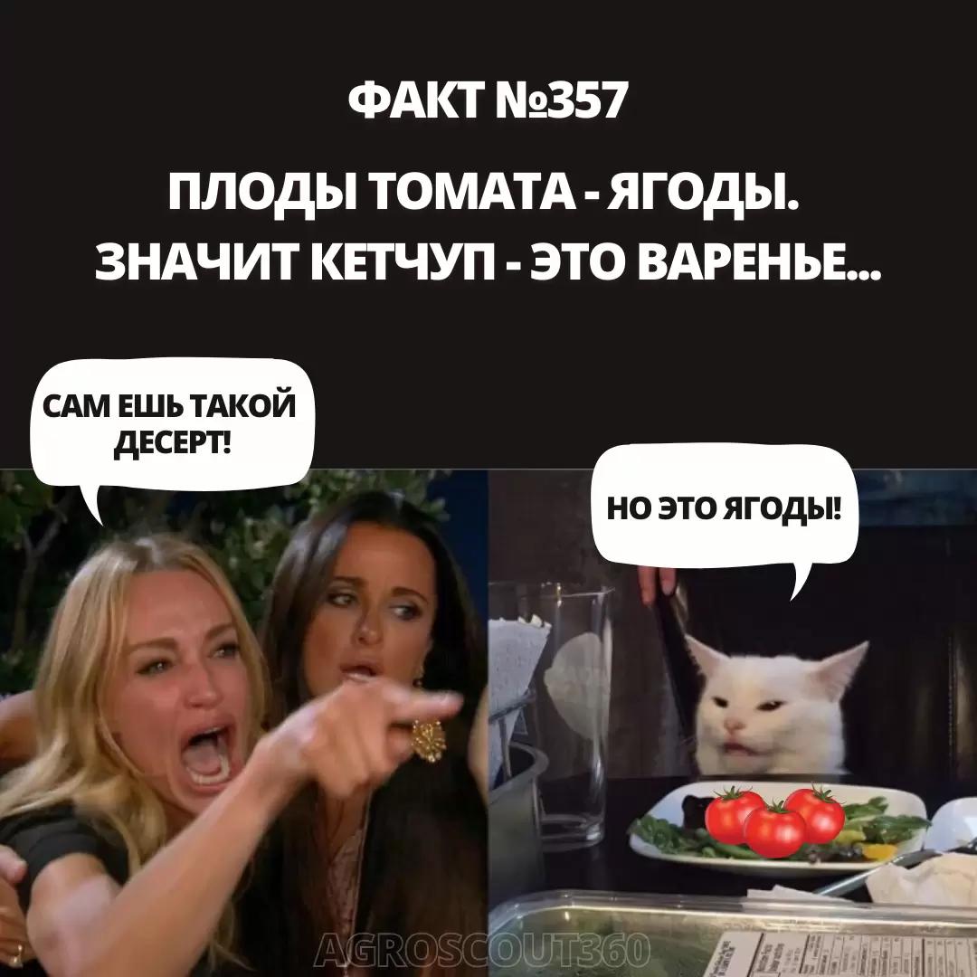 Ох уж этот удивительный мир ботаники⁠⁠