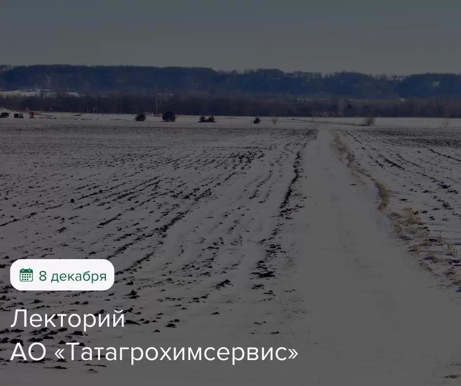 Новый «Лекторий» состоится 8 декабря