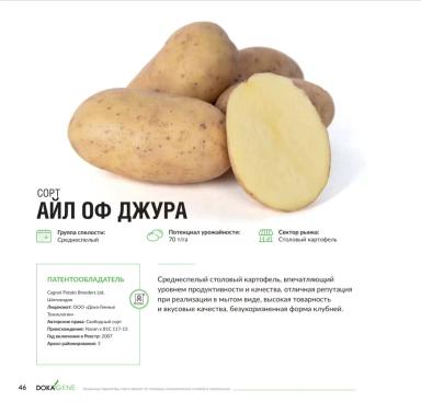 Айл Оф Джура