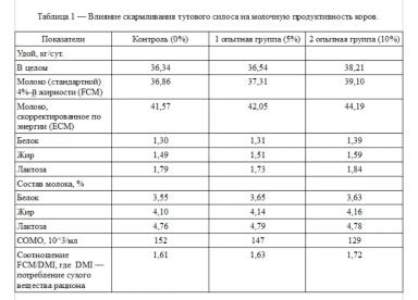 Силос из шелковицы повышает продуктивность молочных коров