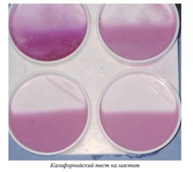 Харвуд – "Ветеринарное руководство по здоровью и благополучию коз". Гл. 16