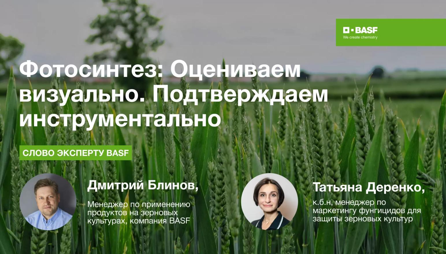 📈 Больше зелени — больше урожай?
