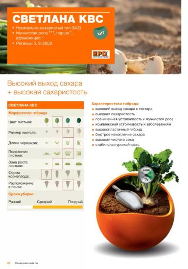 Светлана КВС