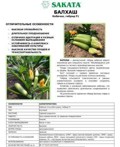 Балхаш  F1 (BALKHASH)