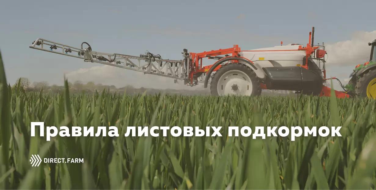 Важные нюансы при проведении листовых подкормок