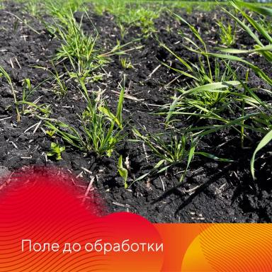 Работает Фултайм®