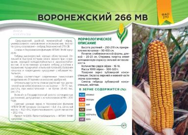 Воронежский 266 МВ