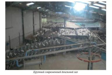 Харвуд – "Ветеринарное руководство по здоровью и благополучию коз". Гл. 16