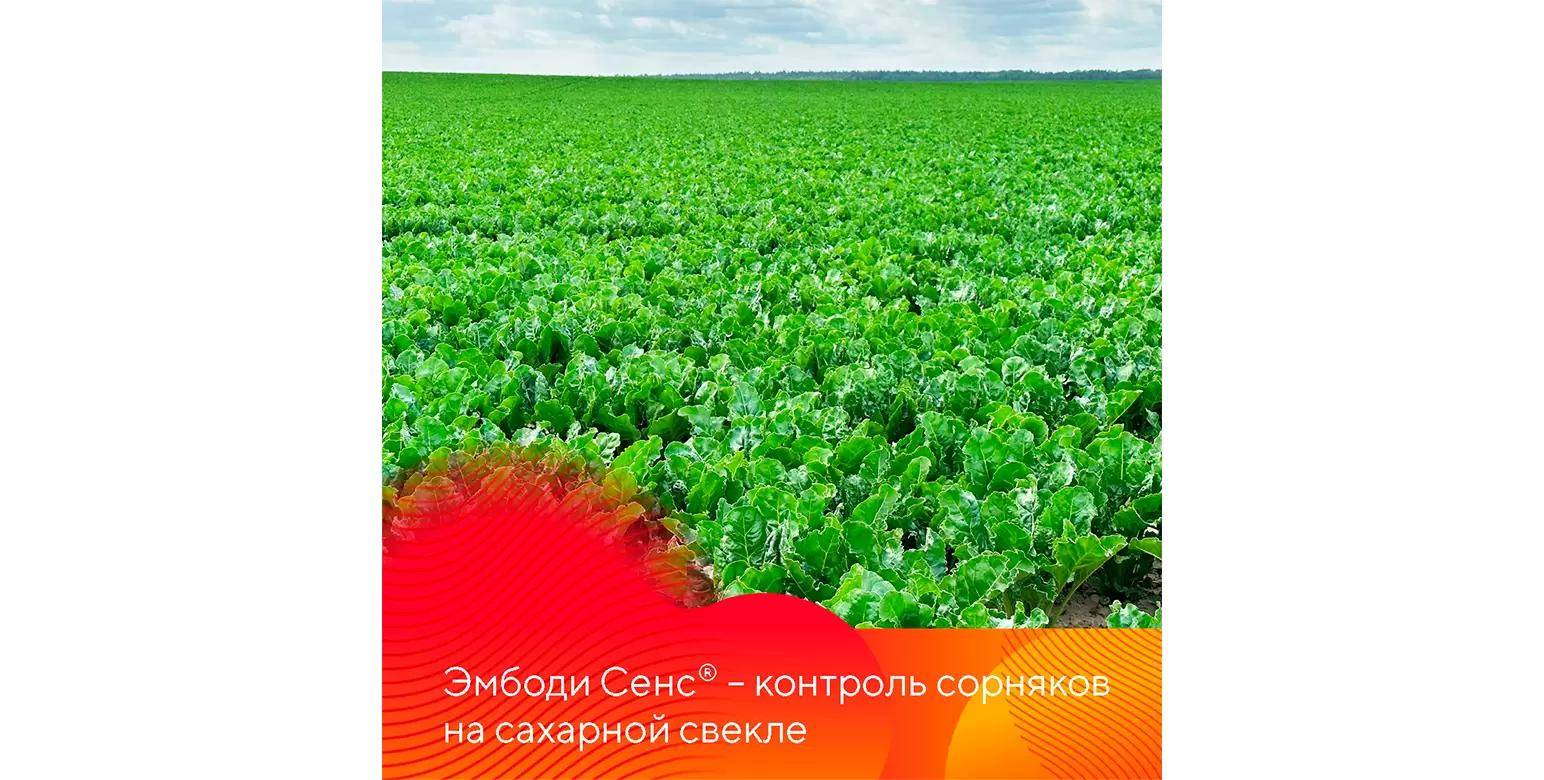 Эмбоди Сенс® – снижает число гербицидных обработок на свекле