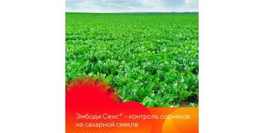 Эмбоди Сенс® – снижает число гербицидных обработок на свекле