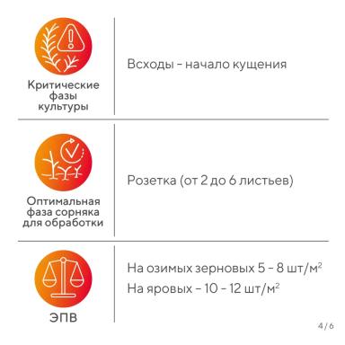 Вредный объект? У «Августа» ответ!