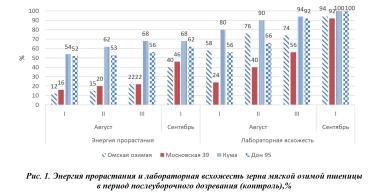 Подготовка семян озимых зерновых культур к посеву