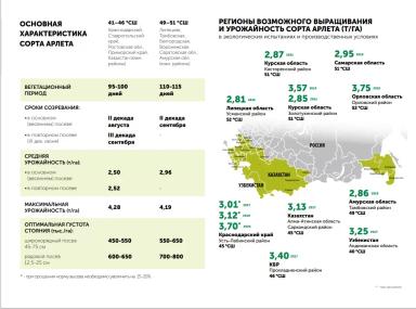 Арлета  сорт сои