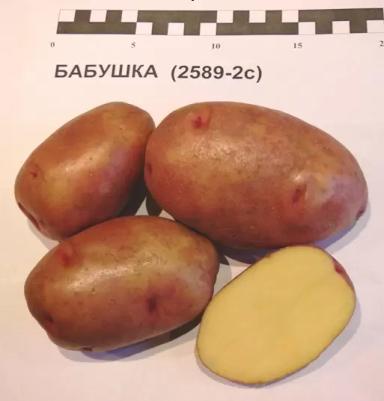 Бабушка