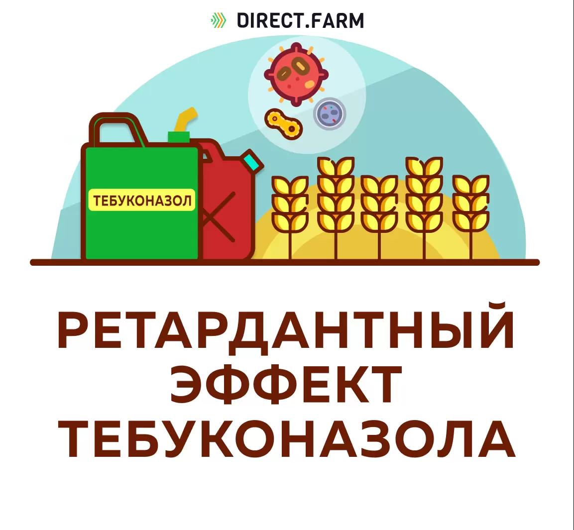 Обладает ли тебуконазол ретардантным эффектом?