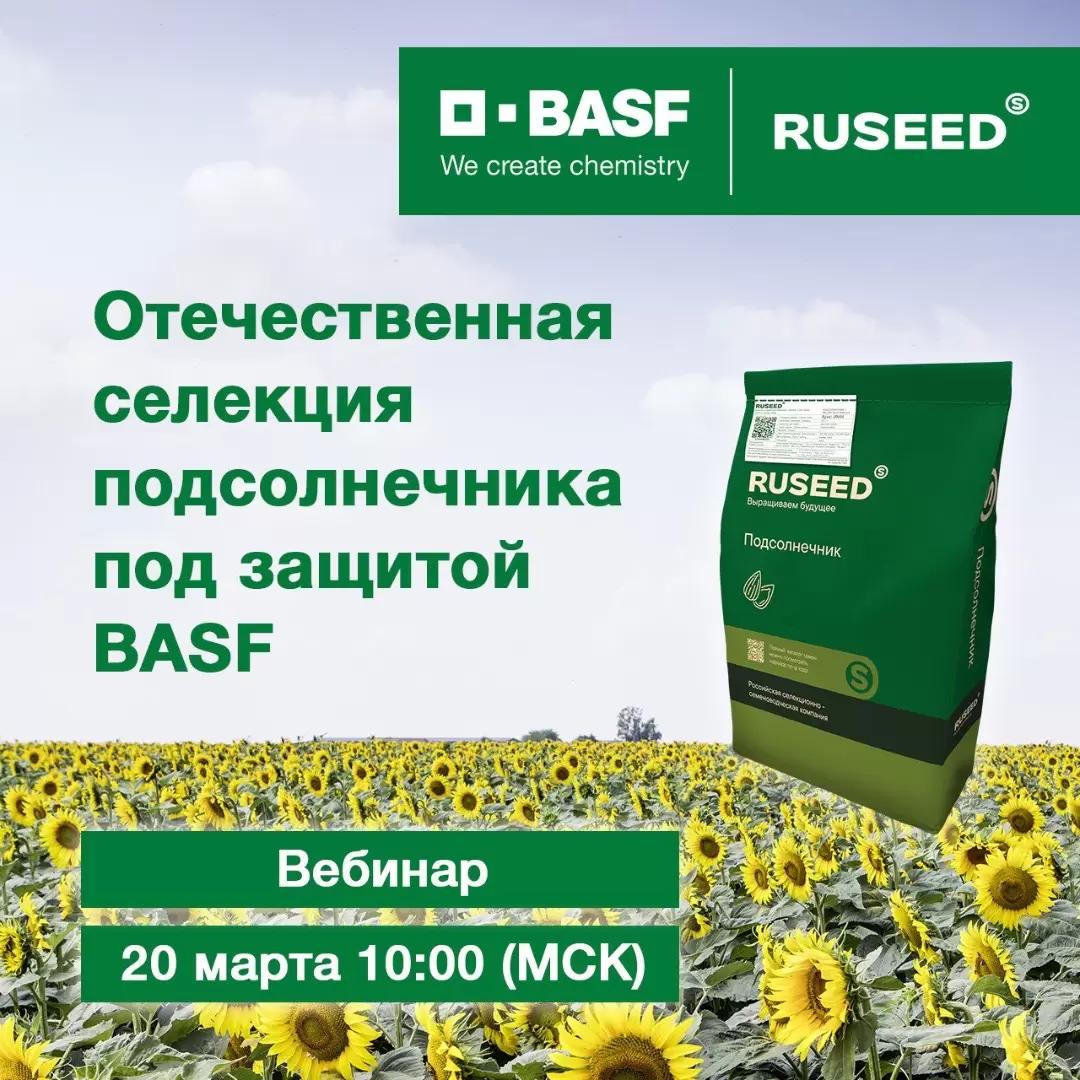 Отечественная селекция под надежной защитой BASF!