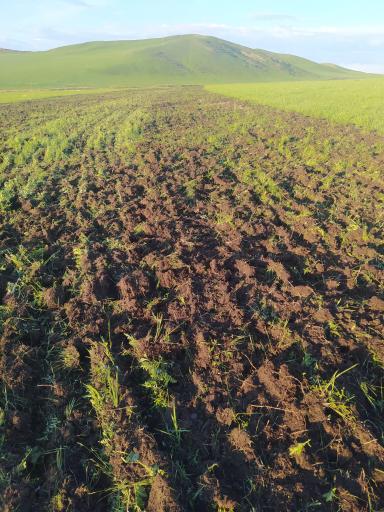 Освоение залежей 2022