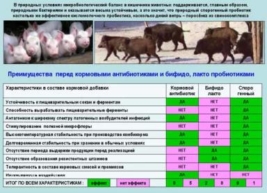Пробиотическая кормовая добавка ОЛИН 