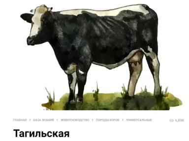 Финчинг (finching) в животноводстве