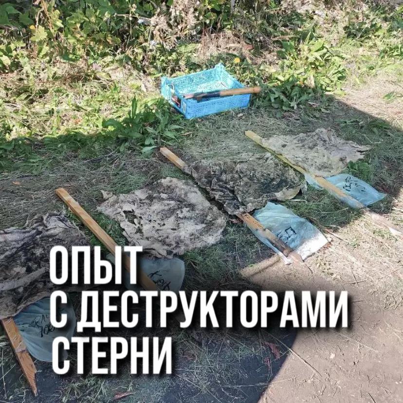 ОПЫТ С ДЕСТРУКТОРАМИ СТЕРНИ. РЕЗУЛЬТАТЫ ЧЕРЕЗ МЕСЯЦ ПРИМЕНЕНИЯ.