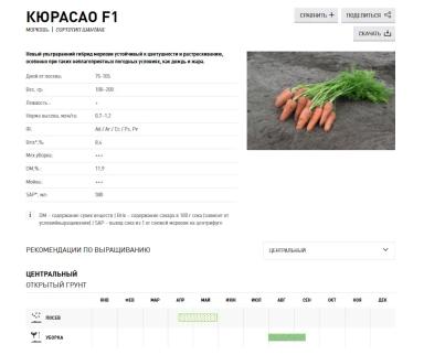 Кюрасао F1