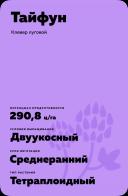 Тайфун (TAIFUN)
