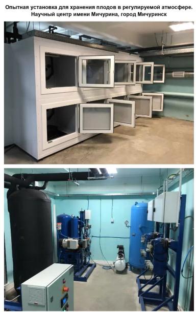 Насколько Россия зависима от зарубежного плодоводства?