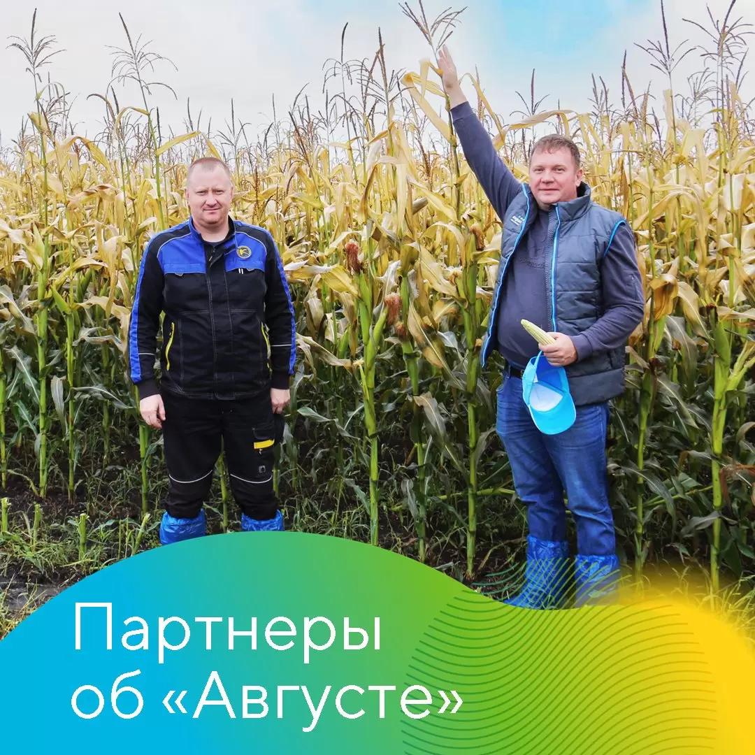 Партнеры об «Августе»