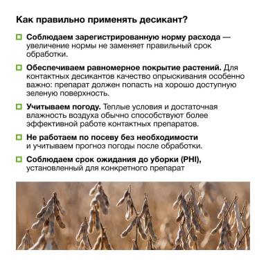Соевый агрокалендарь: август