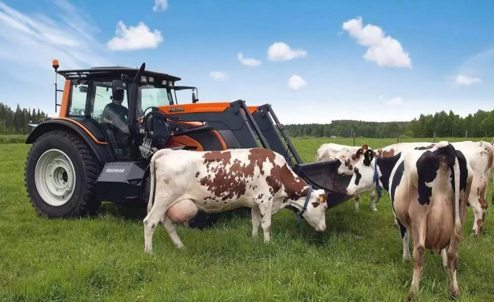 Минсельхоз разработал меры для мобилизованных фермеров, получивших гранты