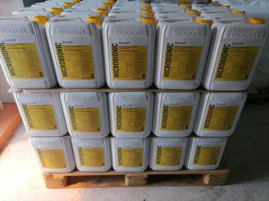 Микробиологические удобрения компании «Биокрафт»: вермикультура, доступная всем