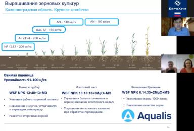 Система удобрения озимой пшеницы