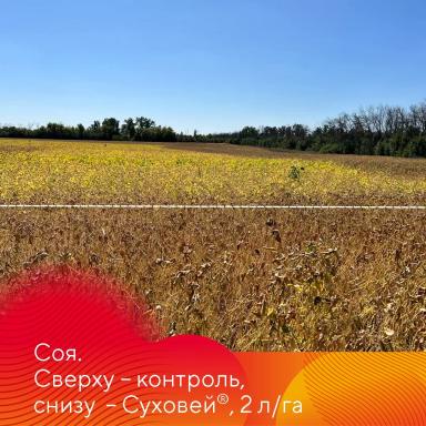 Особенности десикации культур