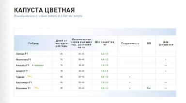 Альтамира  F1 (ALTAMIRA)