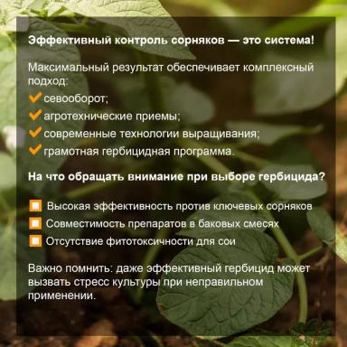 Соевый агрокалендарь: июнь