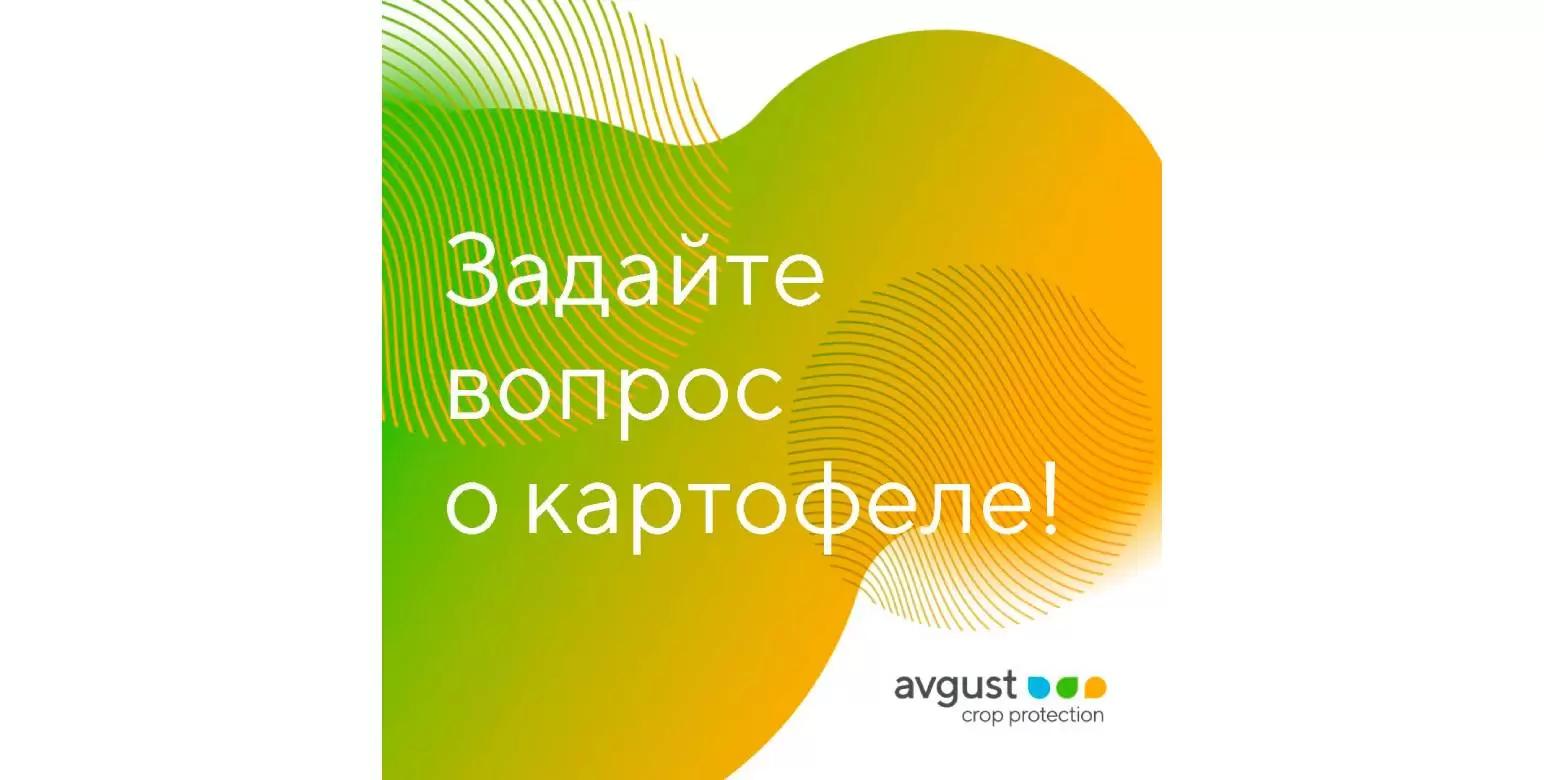 Задайте вопрос специалистам «Августа»
