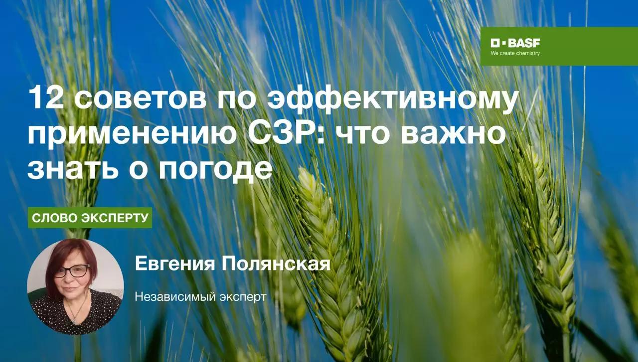 12 советов по эффективному применению СЗР