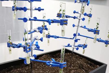 Передовые агротехнологии на выставке Potato Horti AgriTech: Обзор события