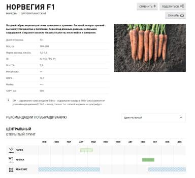 Норвегия F1 (NORWAY)