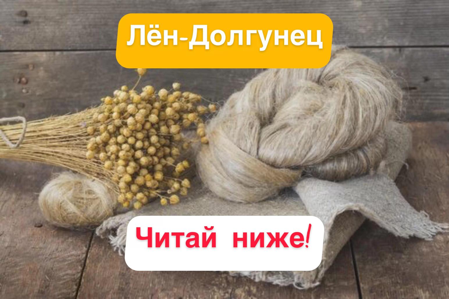 ⚜️Лен-долгунец и препарат РИЗОБАКТ⚜️