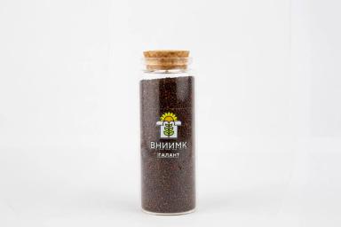 Семена ярового рапса ВНИИМК сорт Галант