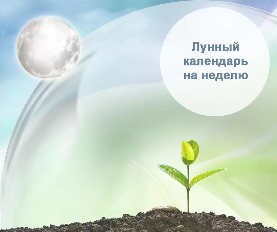 Лунный календарь