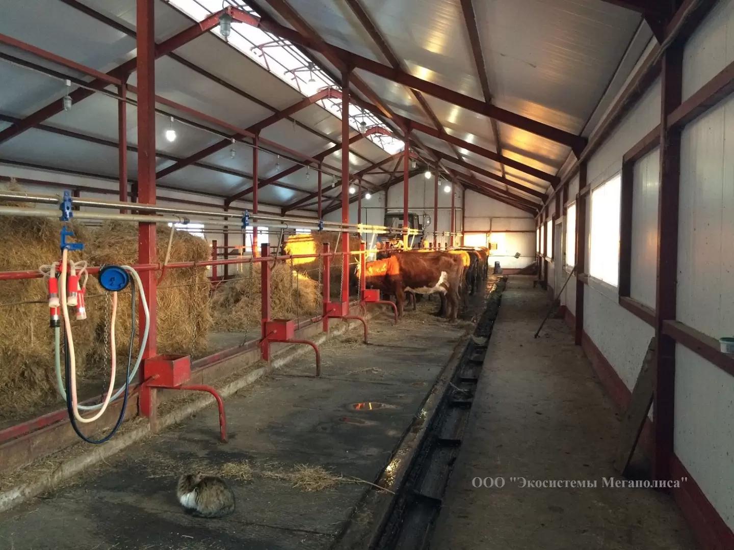 Строительство доильных залов