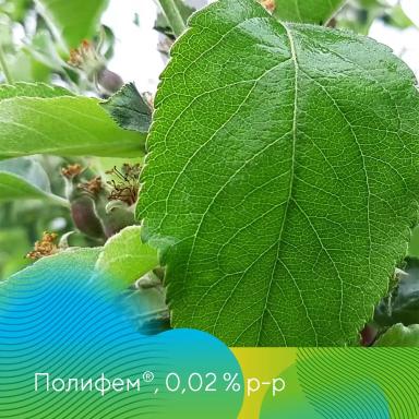 Адъювант Полифем® в садах