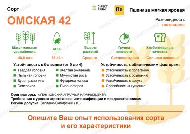 Омская 42 ® сорт мягкой яровой пшеницы