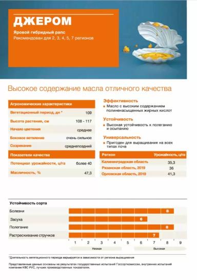 Джером (JEROME)