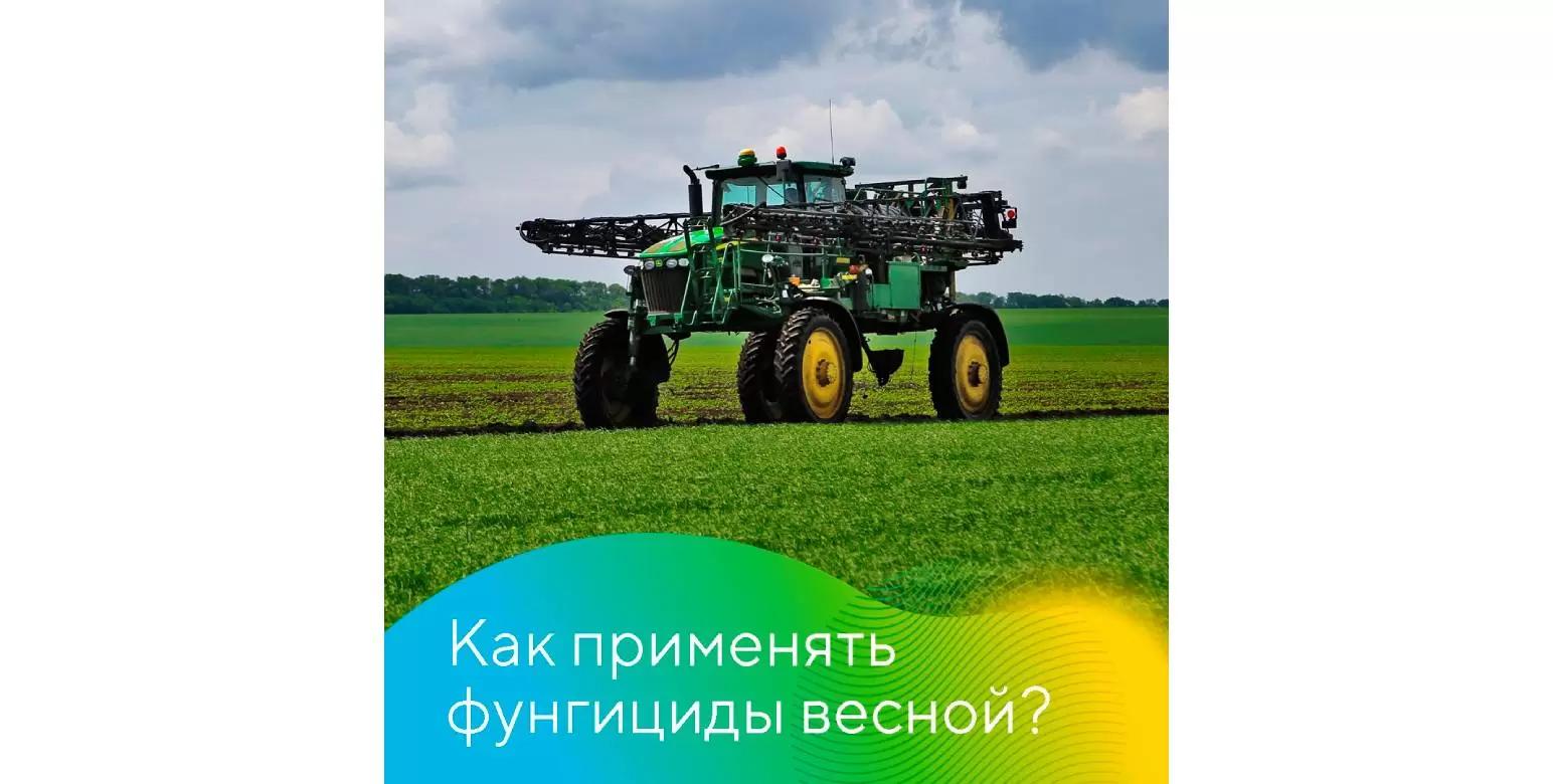 Как применять фунгициды весной?