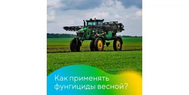 Как применять фунгициды весной?