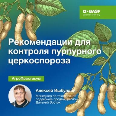 Рекомендации для контроля пурпурного церкоспороза
